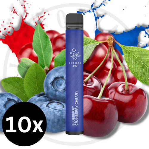 10x Elfbar 600 - Sparpaket